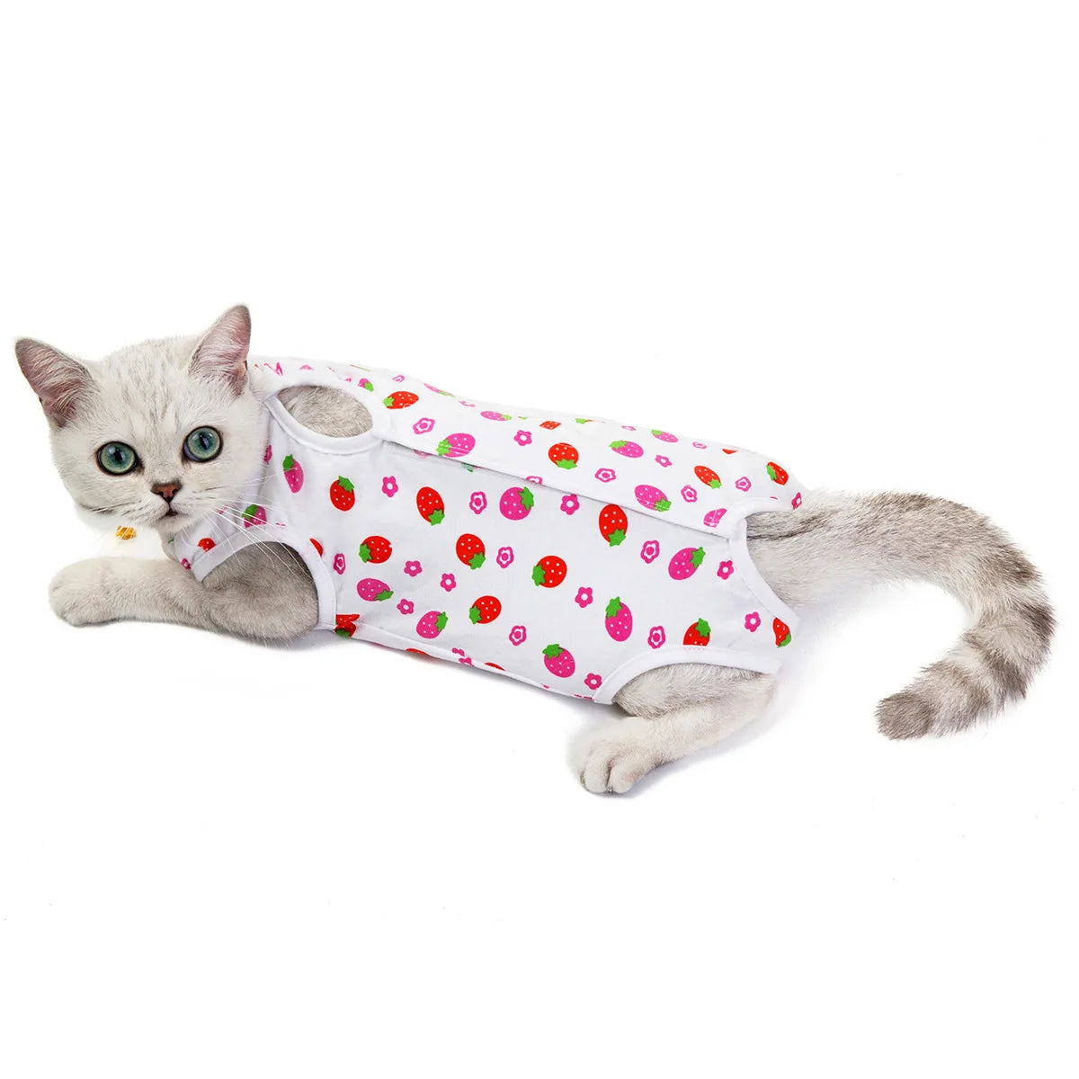 Cute Print Pet Care Clothes Cat Small Dog - PeticaDeals