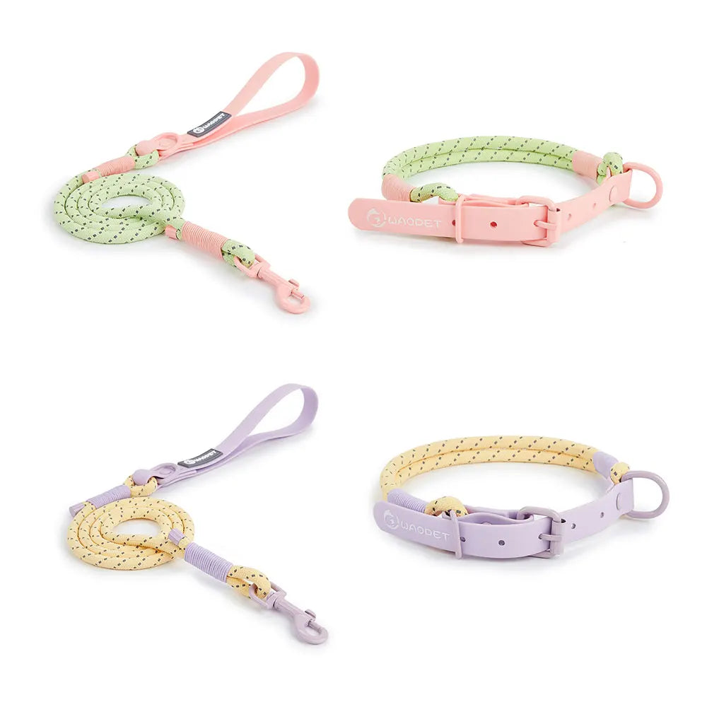 Cute style PVC Webbing Collar Leashes Dog Walking Series - PeticaDeals