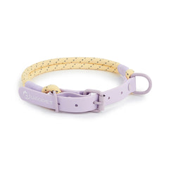 Cute style PVC Webbing Collar Leashes Dog Walking Series - PeticaDeals