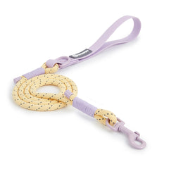 Cute style PVC Webbing Collar Leashes Dog Walking Series - PeticaDeals