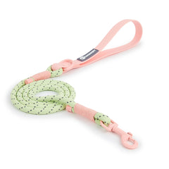 Cute style PVC Webbing Collar Leashes Dog Walking Series - PeticaDeals
