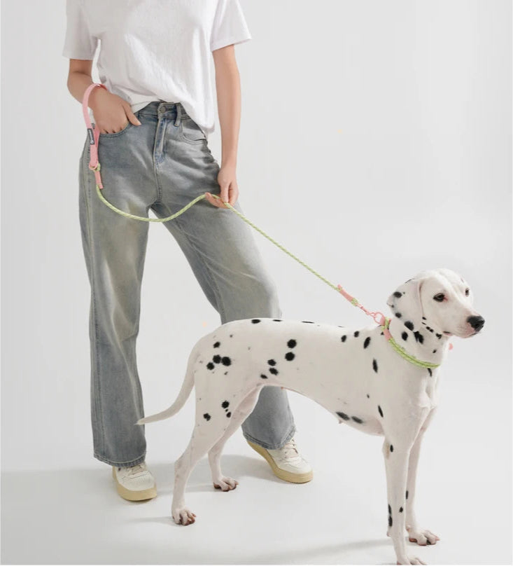 Cute style PVC Webbing Collar Leashes Dog Walking Series - PeticaDeals