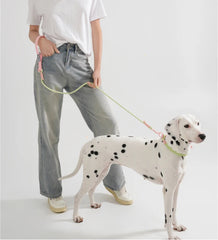 Cute style PVC Webbing Collar Leashes Dog Walking Series - PeticaDeals