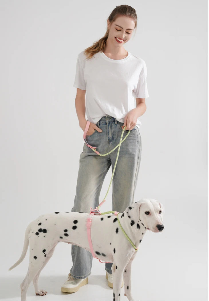 Cute style PVC Webbing Collar Leashes Dog Walking Series - PeticaDeals
