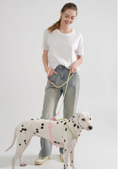Cute style PVC Webbing Collar Leashes Dog Walking Series - PeticaDeals
