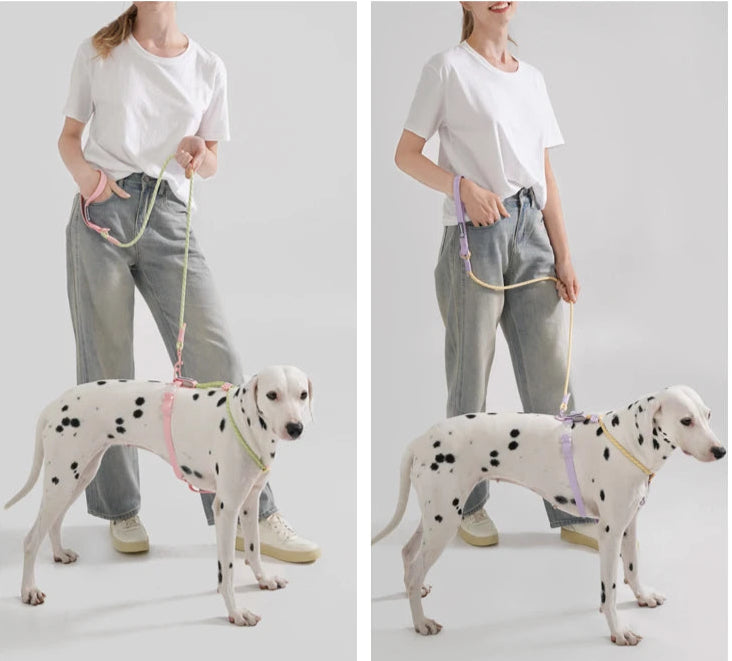 Cute style PVC Webbing Collar Leashes Dog Walking Series - PeticaDeals