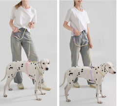 Cute style PVC Webbing Collar Leashes Dog Walking Series - PeticaDeals