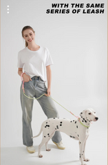 Cute style PVC Webbing Collar Leashes Dog Walking Series - PeticaDeals