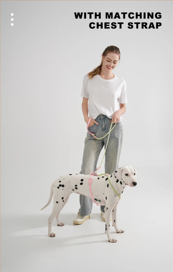 Cute style PVC Webbing Collar Leashes Dog Walking Series - PeticaDeals
