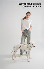 Cute style PVC Webbing Collar Leashes Dog Walking Series - PeticaDeals