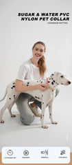 Cute style PVC Webbing Collar Leashes Dog Walking Series - PeticaDeals