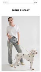 Cute style PVC Webbing Collar Leashes Dog Walking Series - PeticaDeals
