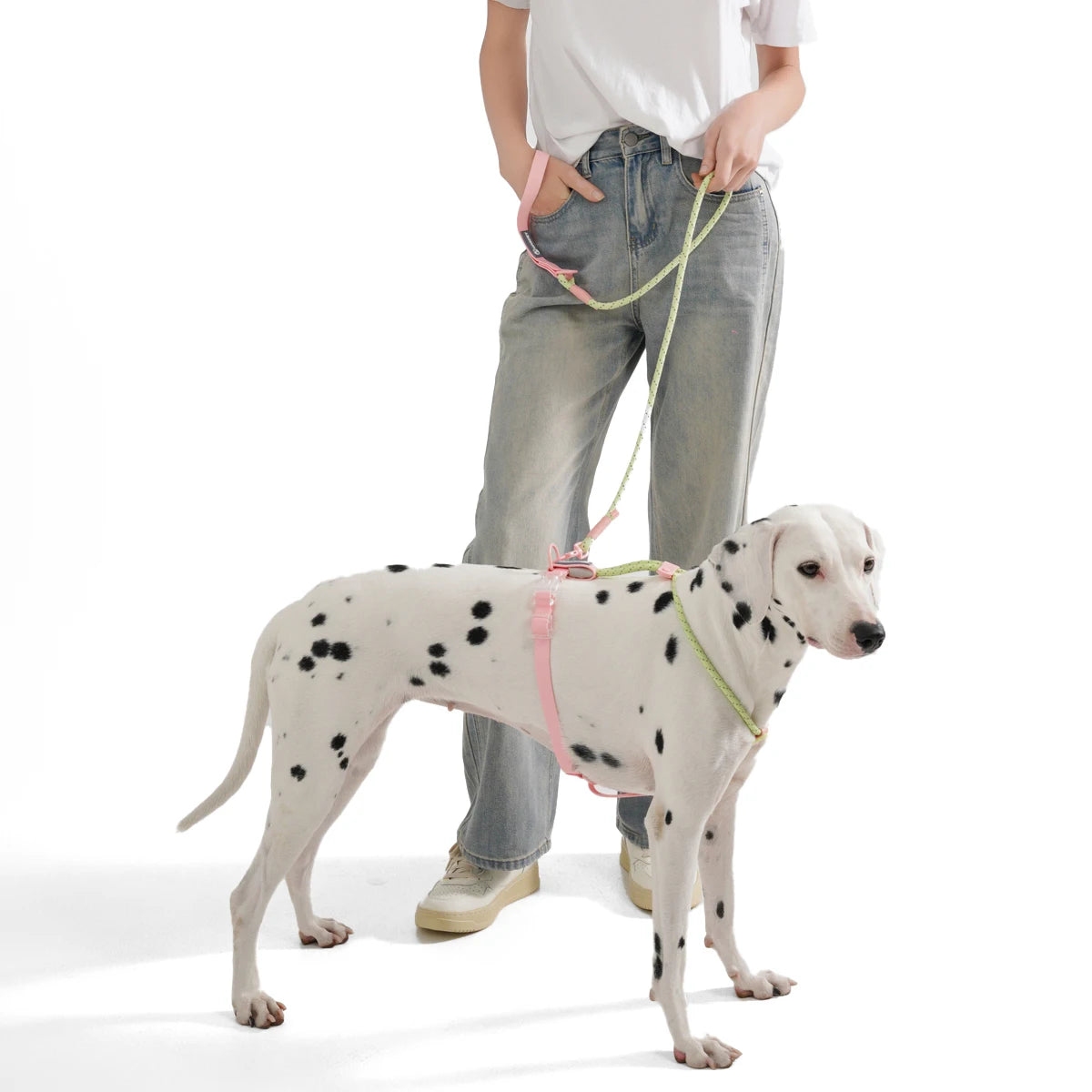 Cute style PVC Webbing Collar Leashes Dog Walking Series - PeticaDeals