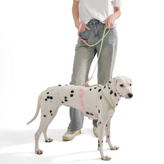 Cute style PVC Webbing Collar Leashes Dog Walking Series - PeticaDeals