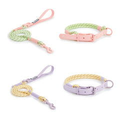 Cute style PVC Webbing Collar Leashes Dog Walking Series - PeticaDeals