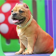 Diamond Necklace for Cats And Small & Medium Dogs - PeticaDeals