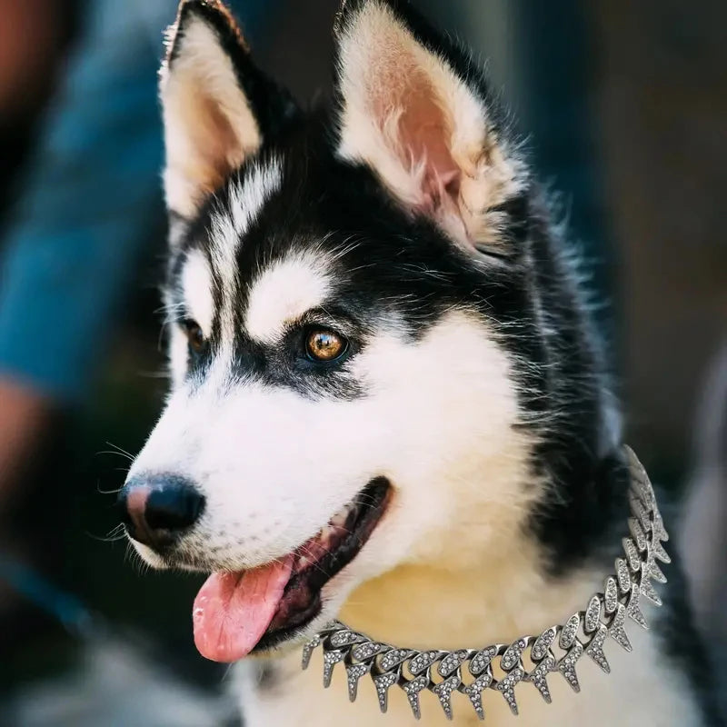 Diamond Necklace for Cats And Small & Medium Dogs - PeticaDeals