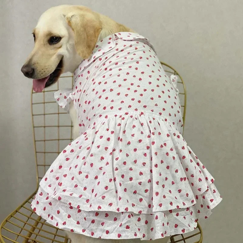 Dog Clothes Summer Dress - PeticaDeals