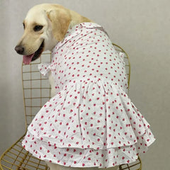 Dog Clothes Summer Dress - PeticaDeals