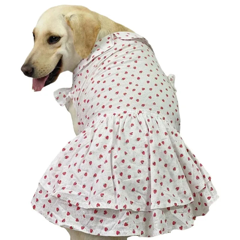 Dog Clothes Summer Dress - PeticaDeals