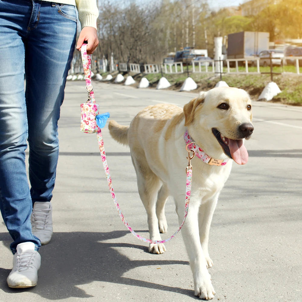 Dog Collar Leash Set Pouch Snack Bag For Small Medium Large Dogs - PeticaDeals