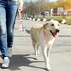 Dog Collar Leash Set Pouch Snack Bag For Small Medium Large Dogs - PeticaDeals