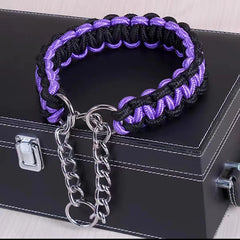 Dog Collar Nylon Personalized Pet Comfortable Durable - PeticaDeals