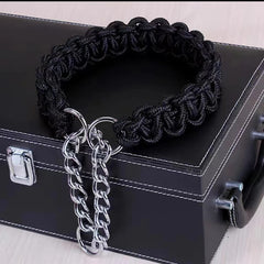 Dog Collar Nylon Personalized Pet Comfortable Durable - PeticaDeals