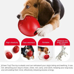 Dog Dinosaur Eggs Toys - PeticaDeals
