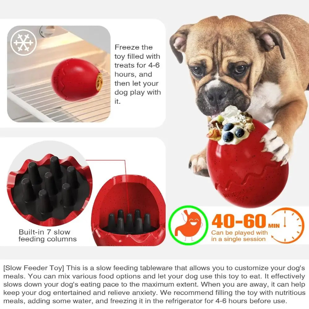 Dog Dinosaur Eggs Toys - PeticaDeals
