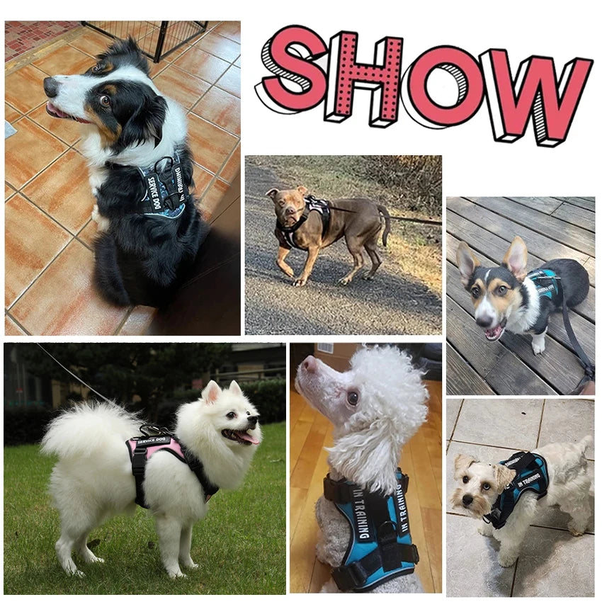 Dog Harness No-pull Reflective Tactical Harness Vest for Small Large Pet Dogs - PeticaDeals