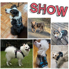 Dog Harness No-pull Reflective Tactical Harness Vest for Small Large Pet Dogs - PeticaDeals