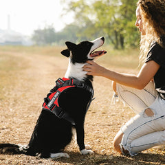 Dog Harness No-pull Reflective Tactical Harness Vest for Small Large Pet Dogs - PeticaDeals