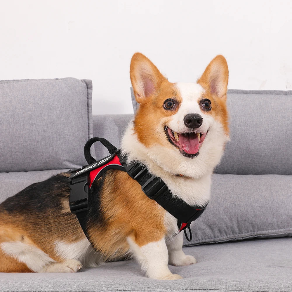 Dog Harness No-pull Reflective Tactical Harness Vest for Small Large Pet Dogs - PeticaDeals