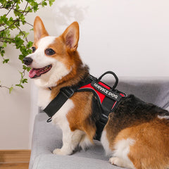 Dog Harness No-pull Reflective Tactical Harness Vest for Small Large Pet Dogs - PeticaDeals