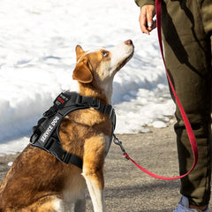 Dog Harness No-pull Reflective Tactical Harness Vest for Small Large Pet Dogs - PeticaDeals