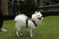 Dog Harness No-pull Reflective Tactical Harness Vest for Small Large Pet Dogs - PeticaDeals