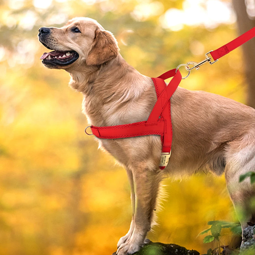 Dog Harnesses Adjustable Pet Walking Training Vest For Medium Large Dogs - PeticaDeals