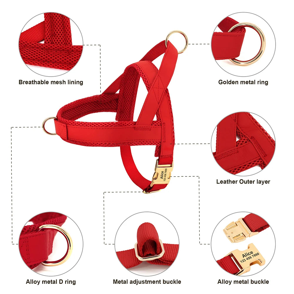 Dog Harnesses Adjustable Pet Walking Training Vest For Medium Large Dogs - PeticaDeals