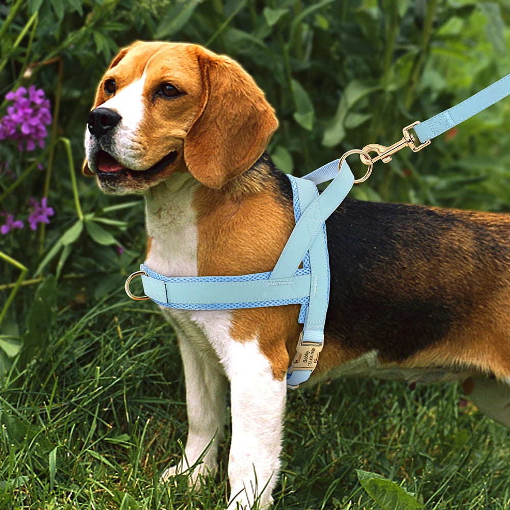 Dog Harnesses Adjustable Pet Walking Training Vest For Medium Large Dogs - PeticaDeals