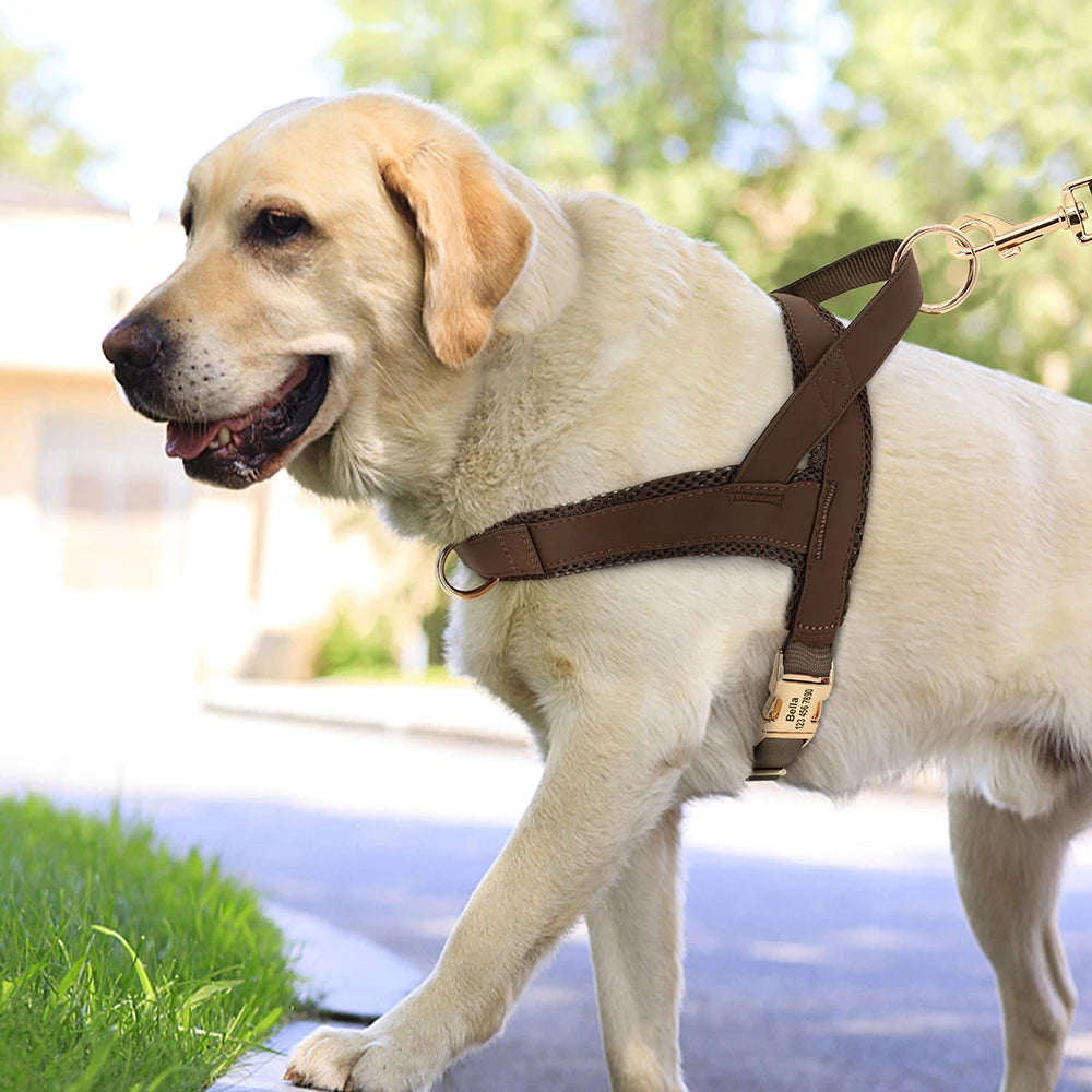 Dog Harnesses Adjustable Pet Walking Training Vest For Medium Large Dogs - PeticaDeals