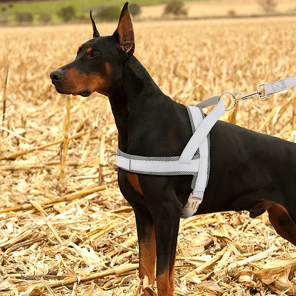 Dog Harnesses Adjustable Pet Walking Training Vest For Medium Large Dogs - PeticaDeals