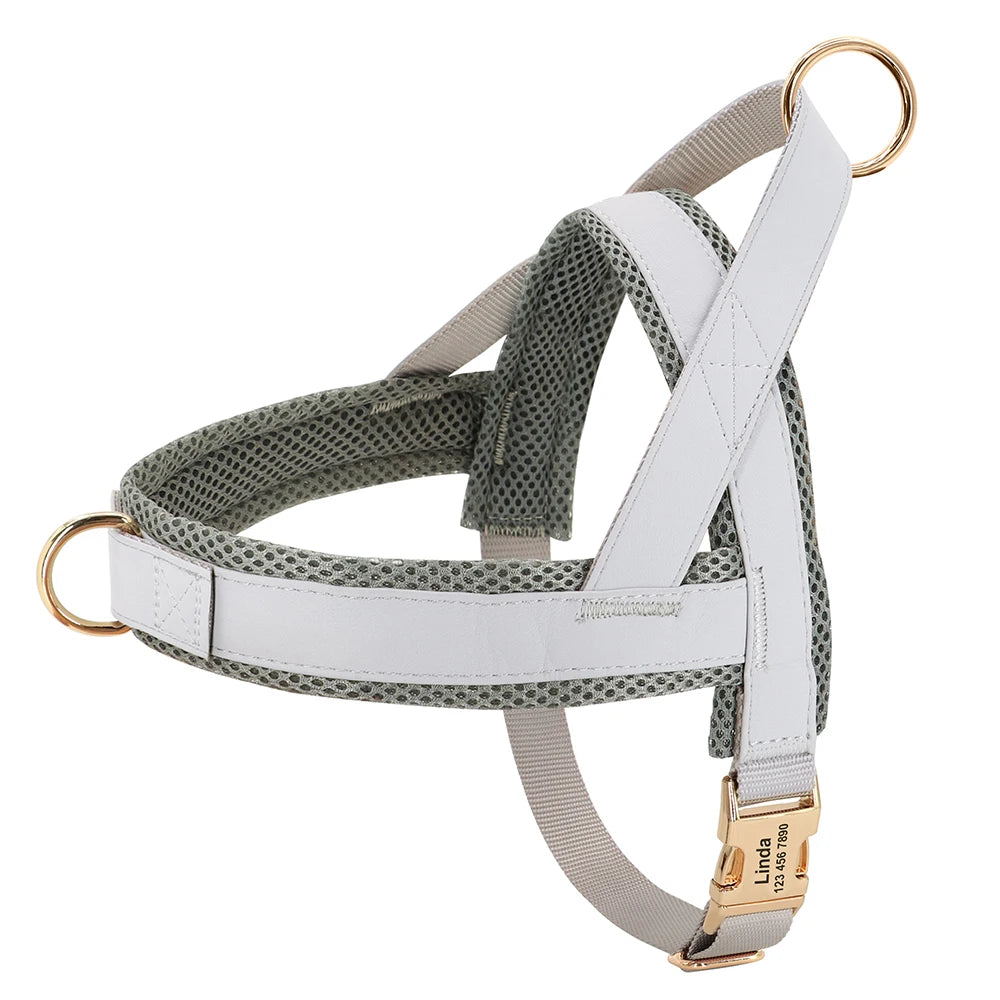 Dog Harnesses Adjustable Pet Walking Training Vest For Medium Large Dogs - PeticaDeals