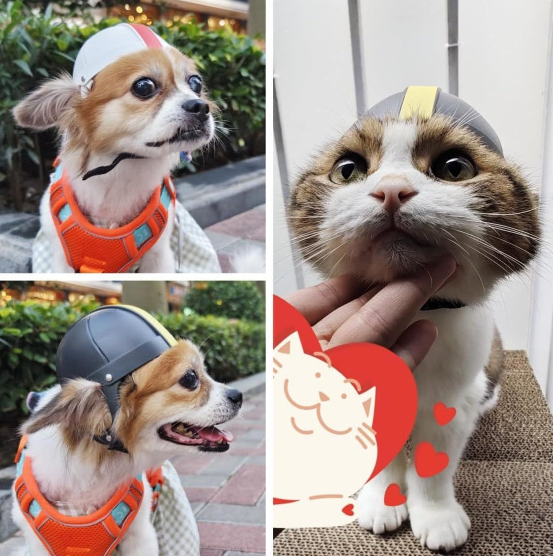 Dog Helmet Motorcycle Pet Helmet for Small Dog Cat - PeticaDeals