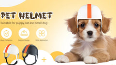 Dog Helmet Motorcycle Pet Helmet for Small Dog Cat - PeticaDeals