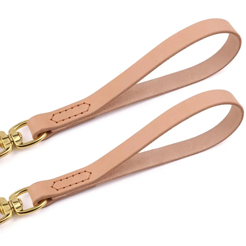 Dog Leash Durable Pet Walking Leash Rope Double Coupler 1 Way 2 Ways - PeticaDeals