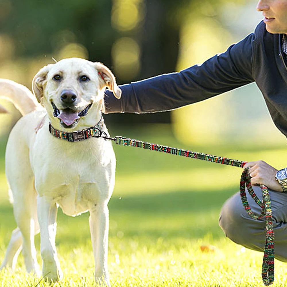 Dog Leash Rope Nylon  Puppy Dog Walking Running Training - PeticaDeals