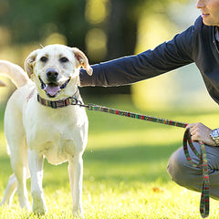 Dog Leash Rope Nylon  Puppy Dog Walking Running Training - PeticaDeals