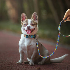 Dog Leash Rope Nylon  Puppy Dog Walking Running Training - PeticaDeals