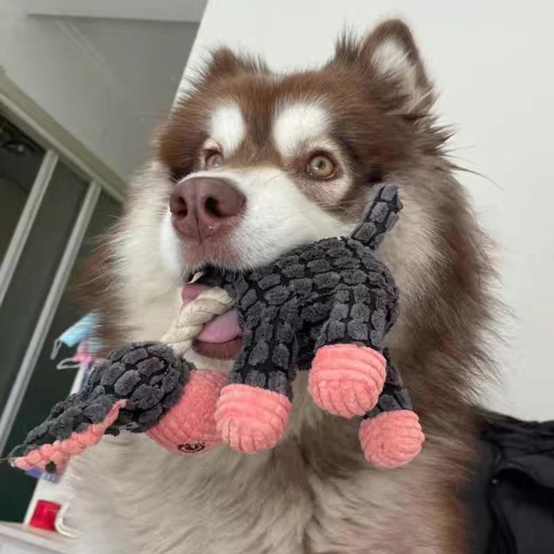 Pet Dog Plush Toys for Small and Large Dogs Cats - PeticaDeals